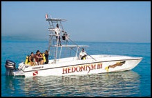 hedonism III runaway bay jamaica swingers resort